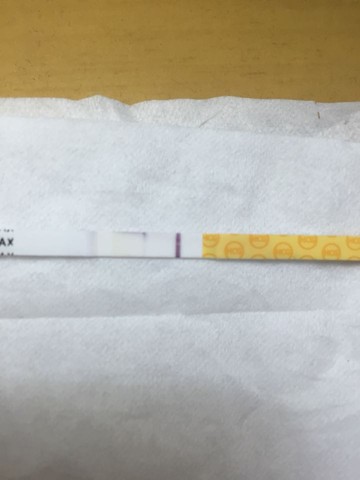 journal_insert_pic_402456522