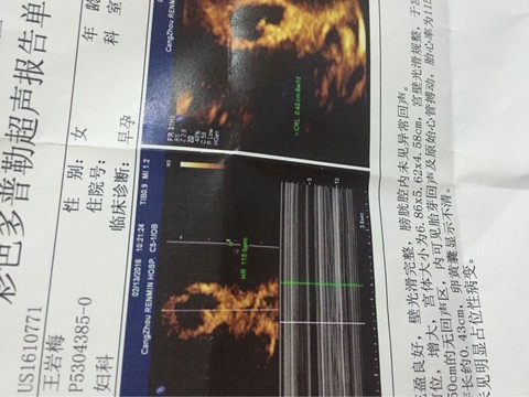 journal_insert_pic_405048706