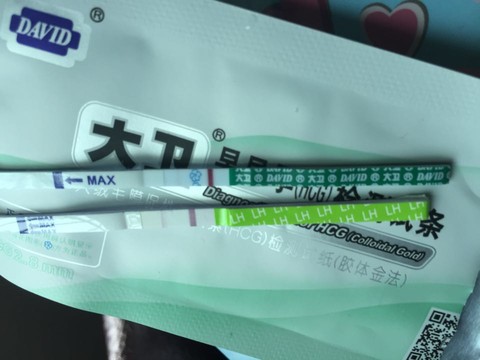 journal_insert_pic_405475759