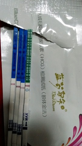 journal_insert_pic_405754961