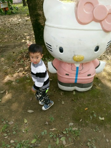 journal_insert_pic_405411586