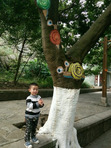 journal_insert_pic_405411725