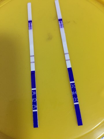 journal_insert_pic_406107344
