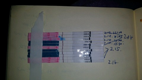journal_insert_pic_406898155