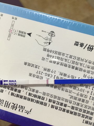 journal_insert_pic_407099480