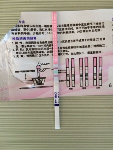 journal_insert_pic_407392030