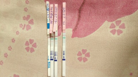 journal_insert_pic_407545205
