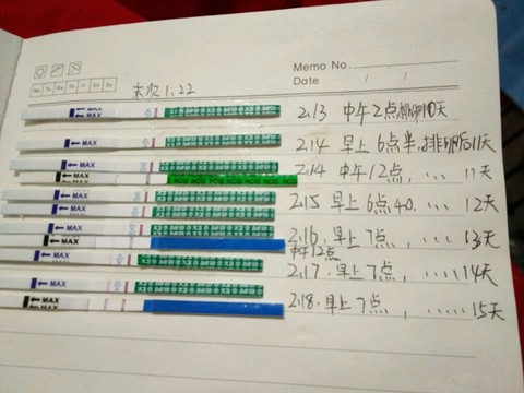 journal_insert_pic_408394470