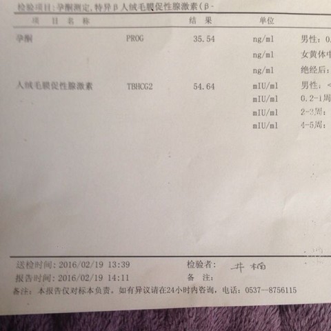 journal_insert_pic_408827356