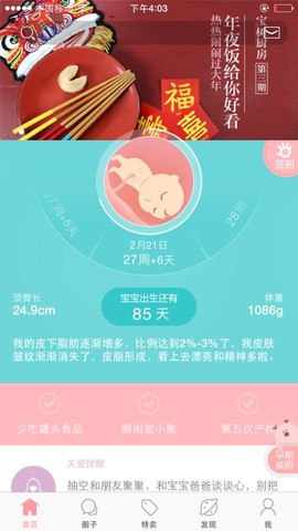 journal_insert_pic_410235560