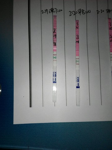 journal_insert_pic_410494314