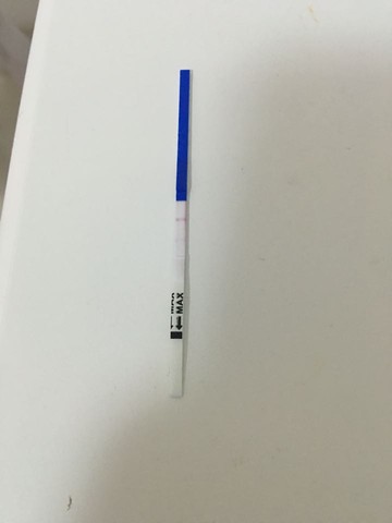 journal_insert_pic_411270583