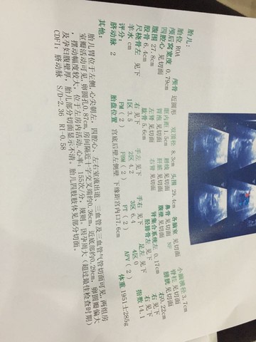 journal_insert_pic_411203644