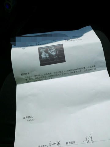 journal_insert_pic_412275365