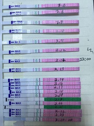 journal_insert_pic_412302903