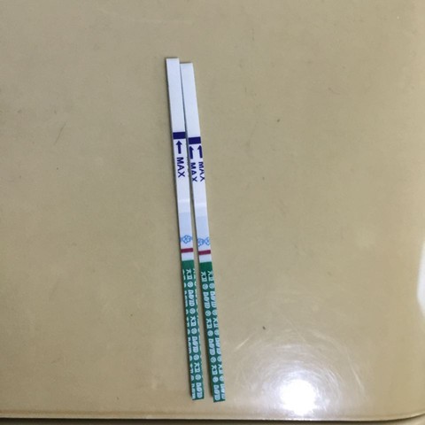 journal_insert_pic_412142460