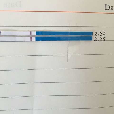 journal_insert_pic_412796959