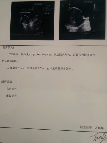 journal_insert_pic_412728036