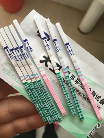 journal_insert_pic_413903517