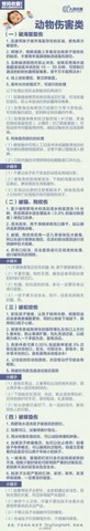 journal_insert_pic_414628455
