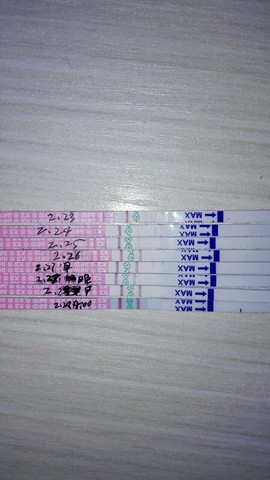 journal_insert_pic_415039148