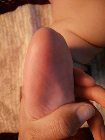 journal_insert_pic_416013939
