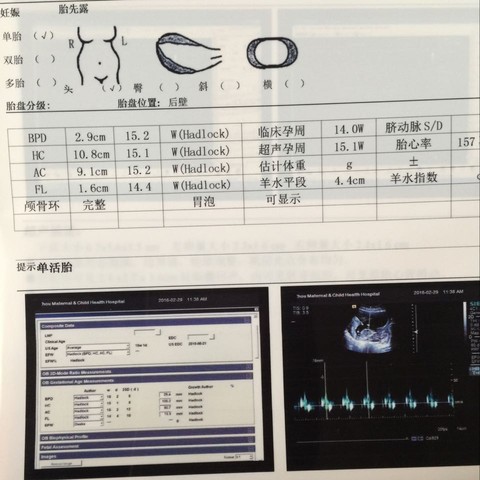 journal_insert_pic_415809493