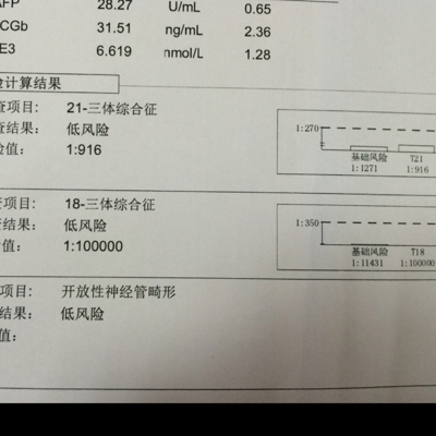 journal_insert_pic_417071504