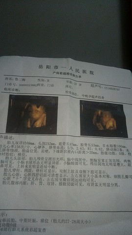 journal_insert_pic_419078117