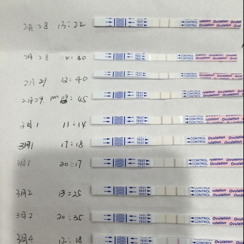 journal_insert_pic_419137997