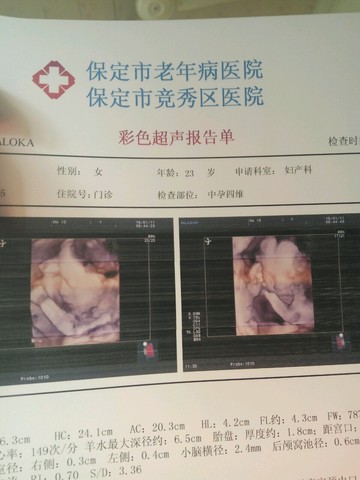 journal_insert_pic_419957048