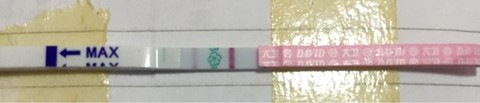 journal_insert_pic_421182455