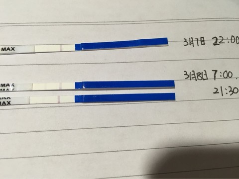 journal_insert_pic_422050046