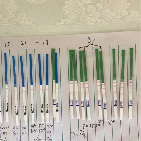 journal_insert_pic_422293925