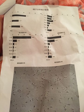 journal_insert_pic_423033358