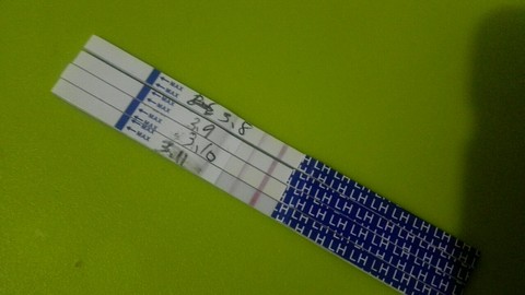 journal_insert_pic_424162770