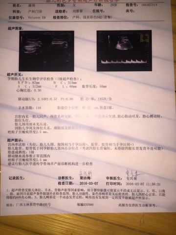 journal_insert_pic_424385404