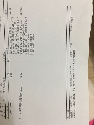 journal_insert_pic_425934090