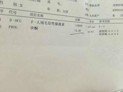 journal_insert_pic_426951829