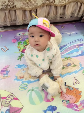 journal_insert_pic_426527462