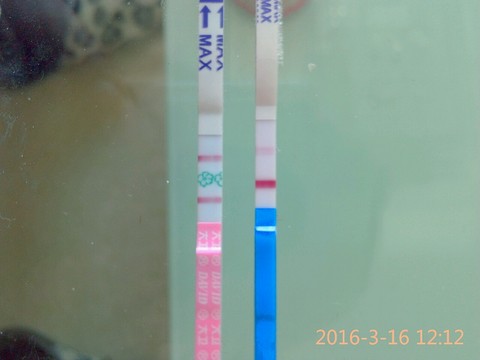 journal_insert_pic_427435708
