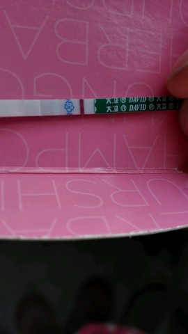 journal_insert_pic_427388367