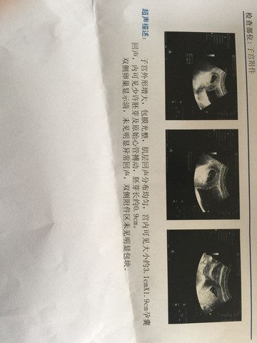 journal_insert_pic_427296012