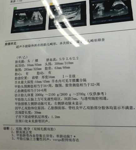 journal_insert_pic_427818750