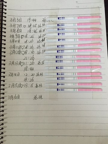 journal_insert_pic_427401413