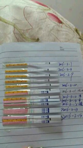journal_insert_pic_428129292