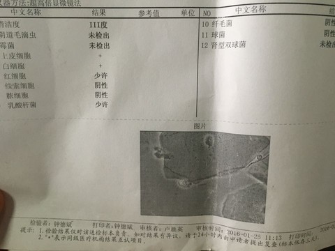 journal_insert_pic_428048750