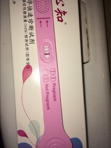journal_insert_pic_428479551