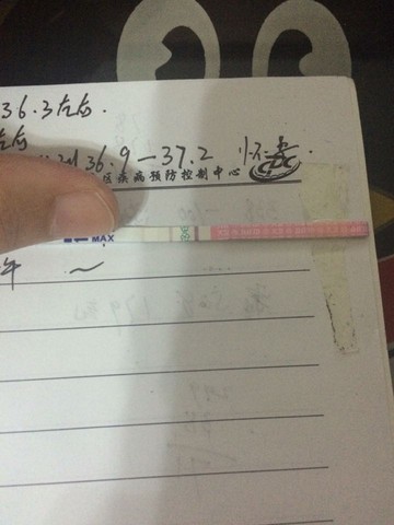 journal_insert_pic_428317730