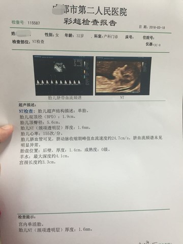 journal_insert_pic_428812832